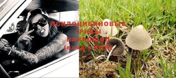 крисы Армянск