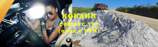 крисы Армянск