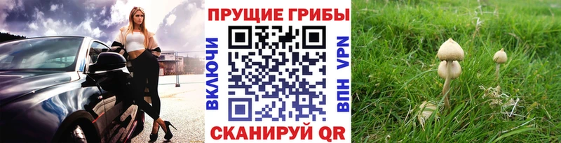 Галлюциногенные грибы Magic Shrooms Арсеньев